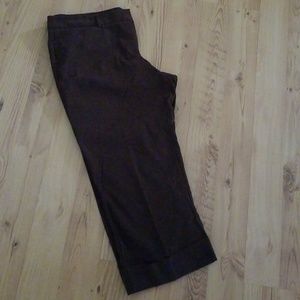 Daisy Fuentes brown size 16 capris